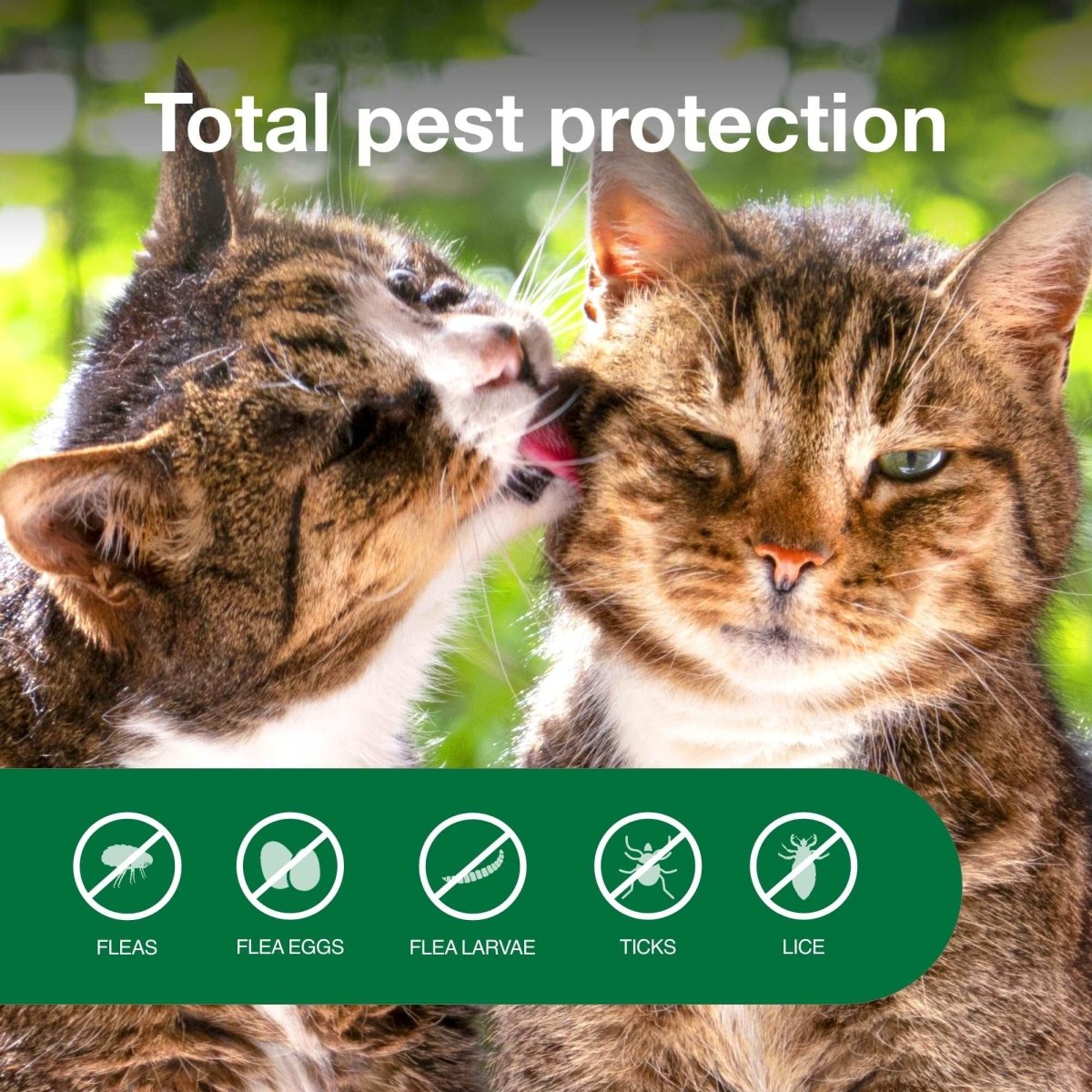 Advantage Flea and Tick Treatment Spray for Cats - 8 oz - 724089113450
