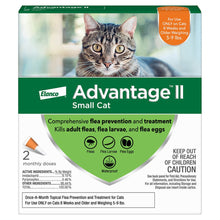 Advantage ll small cat topical flee prevention and treatment 2 monthly doses
