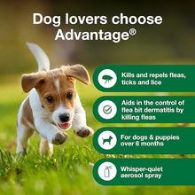 Advantage treatment spray for dogs kills fleas 8 fl oz