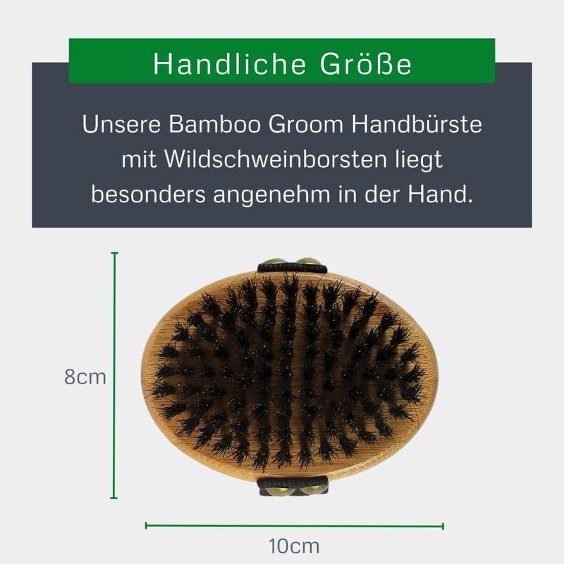 alcott Bamboo Groom Palm Brush with Boar Bristles for Pets - 047181163568