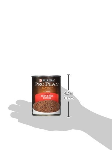 American Distribution & Pro Beef 13oz Canned Dog Food - 038100026736