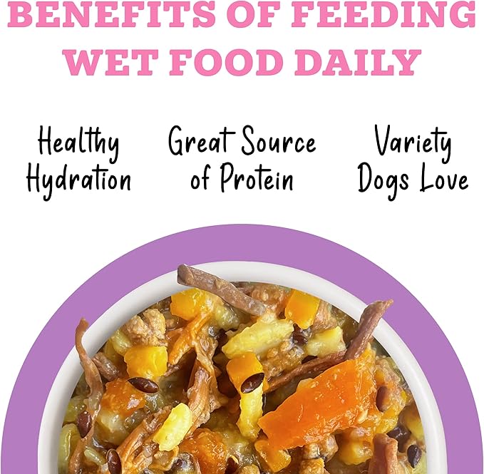 Awesome belly easy digestion beef, white rice and pumpkin recipe with turmeric and ginger