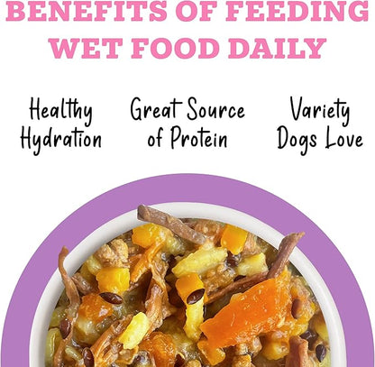 Awesome belly easy digestion beef, white rice and pumpkin recipe with turmeric and ginger