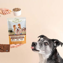 Badlands ranch wild fish & turkey superfood complete dog food 11.5oz