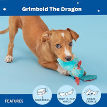 Bark box dog toy