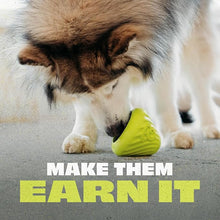 Benebone bounce cone dog toy