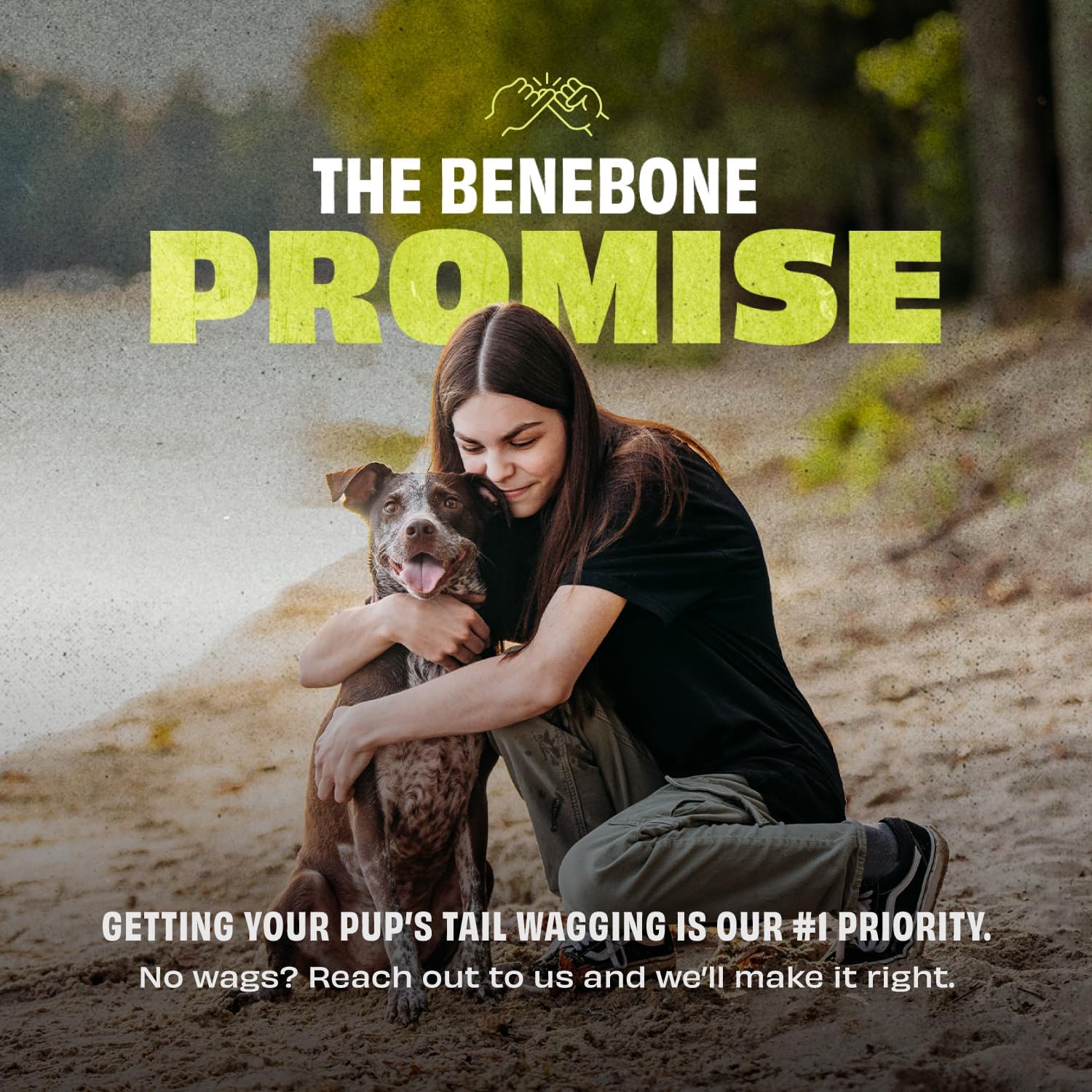 Benebone bounce tug