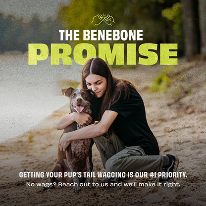 Benebone bounce tug