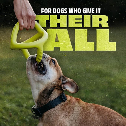 Benebone bounce tug