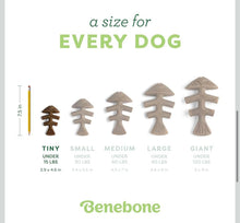 Benebone fishbone tiny 2 pack jack salmon