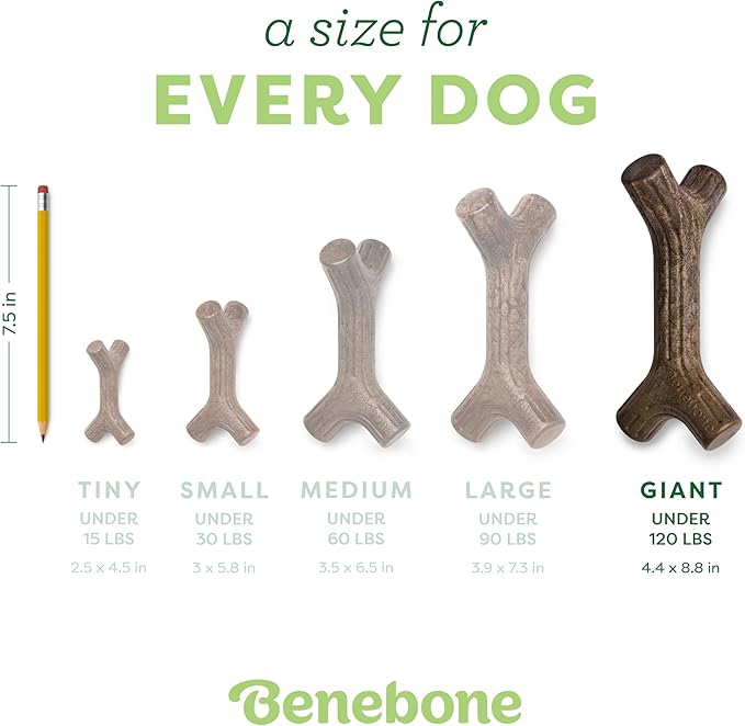 Benebone giant bacon stick