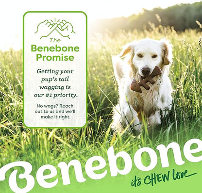 Benebone giant fishbone Jack salmon