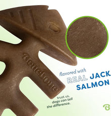 Benebone giant fishbone Jack salmon