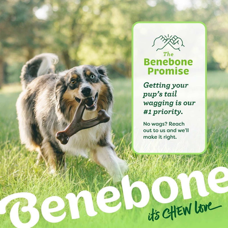 Benebone Indestructible Wishbone Dog Chew Toy for Aggressive Chewers, Long Lasting Tough Boredom Breaker for Dogs, Real Peanut Flavour, For Medium Dogs, Made in the USA. - 854111004019