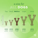 Benebone Indestructible Wishbone Dog Chew Toy for Aggressive Chewers, Long Lasting Tough Boredom Breaker for Dogs, Real Peanut Flavour, For Medium Dogs, Made in the USA. - 854111004019