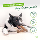 Benebone Indestructible Wishbone Dog Chew Toy for Aggressive Chewers, Long Lasting Tough Boredom Breaker for Dogs, Real Peanut Flavour, For Medium Dogs, Made in the USA. - 854111004019