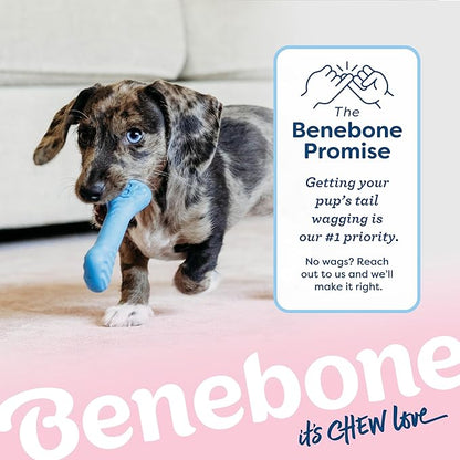 Benebone puppy 2 pack dog bones