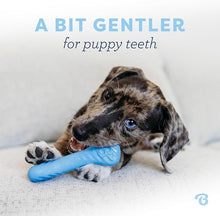 Benebone puppy 2 pack dog bones