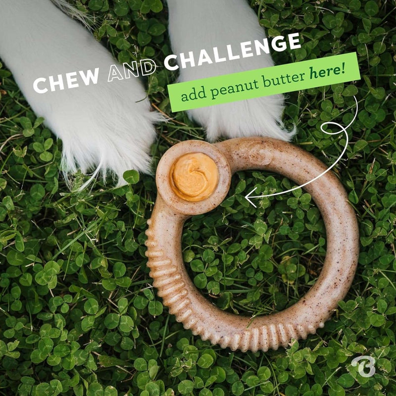 Benebone Ring Durable Dog Chew Toy for Aggressive Chewers, Real Bacon, Made in USA, Large - dental dog chew - 810054210627