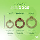 Benebone Ring Durable Dog Chew Toy for Aggressive Chewers, Real Bacon, Made in USA, Medium - dental dog chew - 854111004958