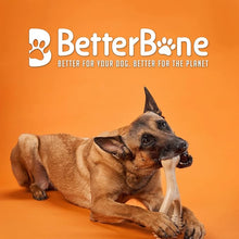 BetterBone Hard Beef Dog Toy, Natural, Small