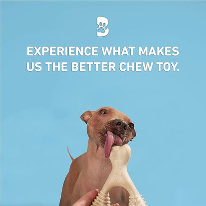 BetterBone Soft Density Classic Flavor Dog Chew Toy, Mini