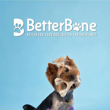 BetterBone Soft Density Classic Flavor Dog Chew Toy, Small