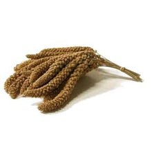 Birds delight spray millet 6oz