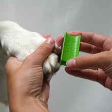 Bitty gritty animal nail file