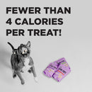 BIXBI Bark Pops, Sweet Potato and Apple (4 oz, 1 Pouch) - Crunchy Small Training Treats for Dogs - Wheat Free and Low Calorie Dog Treats, Flavorful Healthy and All Natural Dog Treats - bixbi dog treat - 013964992137