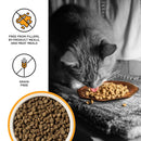 BIXBI Liberty Dry Cat Food Kitten Health Chicken Recipe - 2.5lb - dry cat food - 856605005809