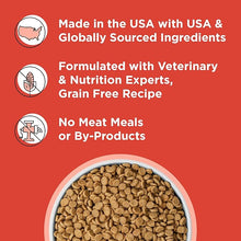 Bixbi rawbble beef recipe dry food for dogs 4lbs