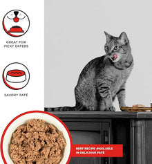 Bixbi rawbble beef recipe pate grain free grass fed beef 2.75oz canned cat food