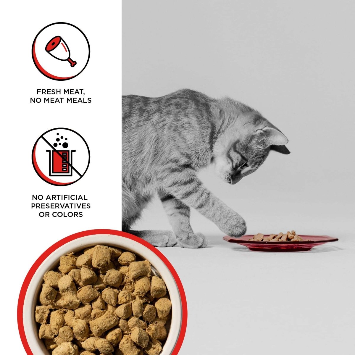 BIXBI Rawbble Freeze Dried Cat Food - Beef Recipe - 3.5 oz - freeze dried cat food - 856605005588