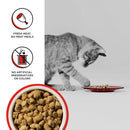 BIXBI Rawbble Freeze Dried Cat Food - Beef Recipe - 3.5 oz - freeze dried cat food - 856605005588