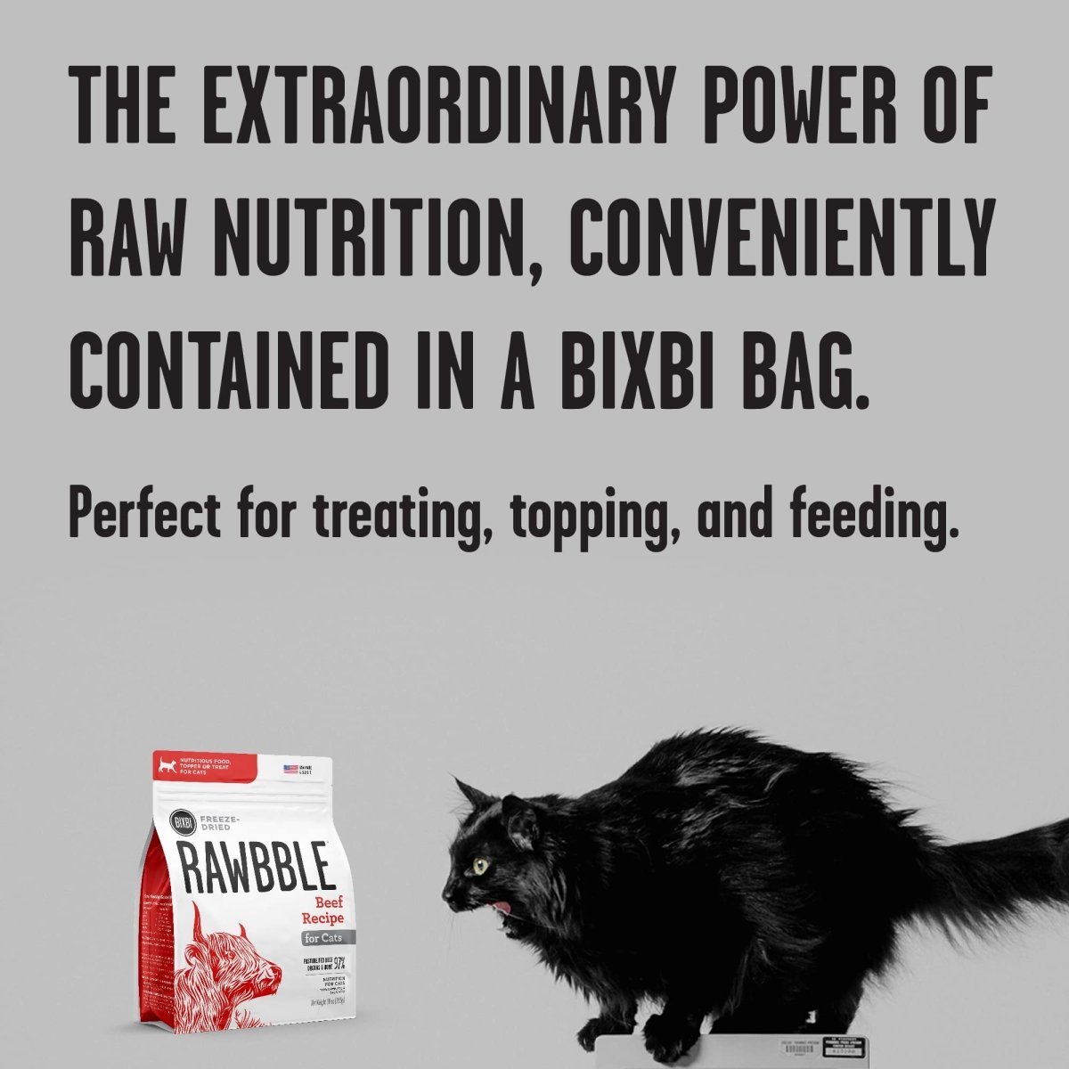 BIXBI Rawbble Freeze Dried Cat Food - Beef Recipe - 3.5 oz - freeze dried cat food - 856605005588