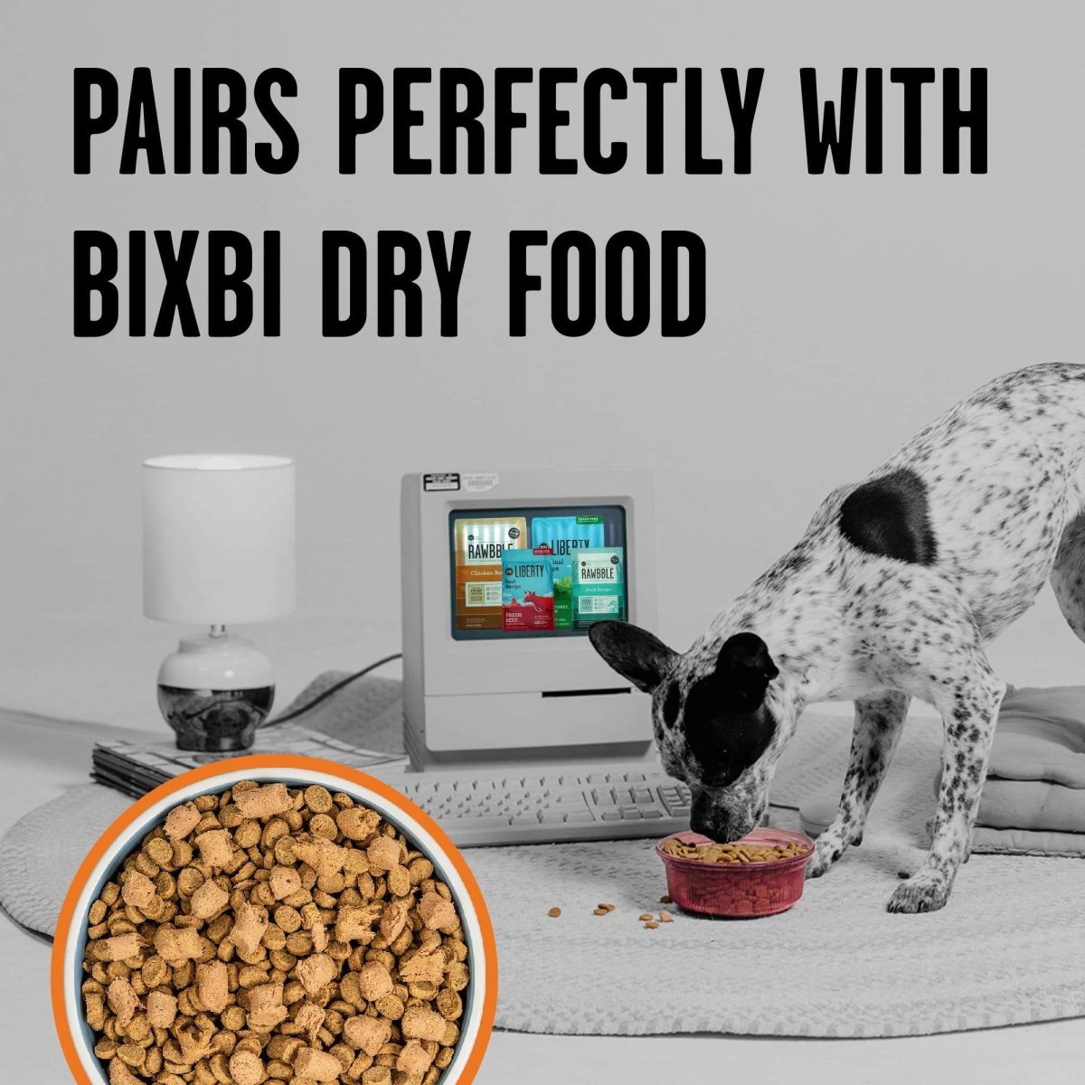 BIXBI Rawbble Freeze Dried Dog Food, Chicken Recipe, 12 oz - 98% Meat and Organs, No Fillers - Pantry - Friendly Raw Dog Food for Meal, Treat or Food Topper - USA Made in Small Batches - 091037509192