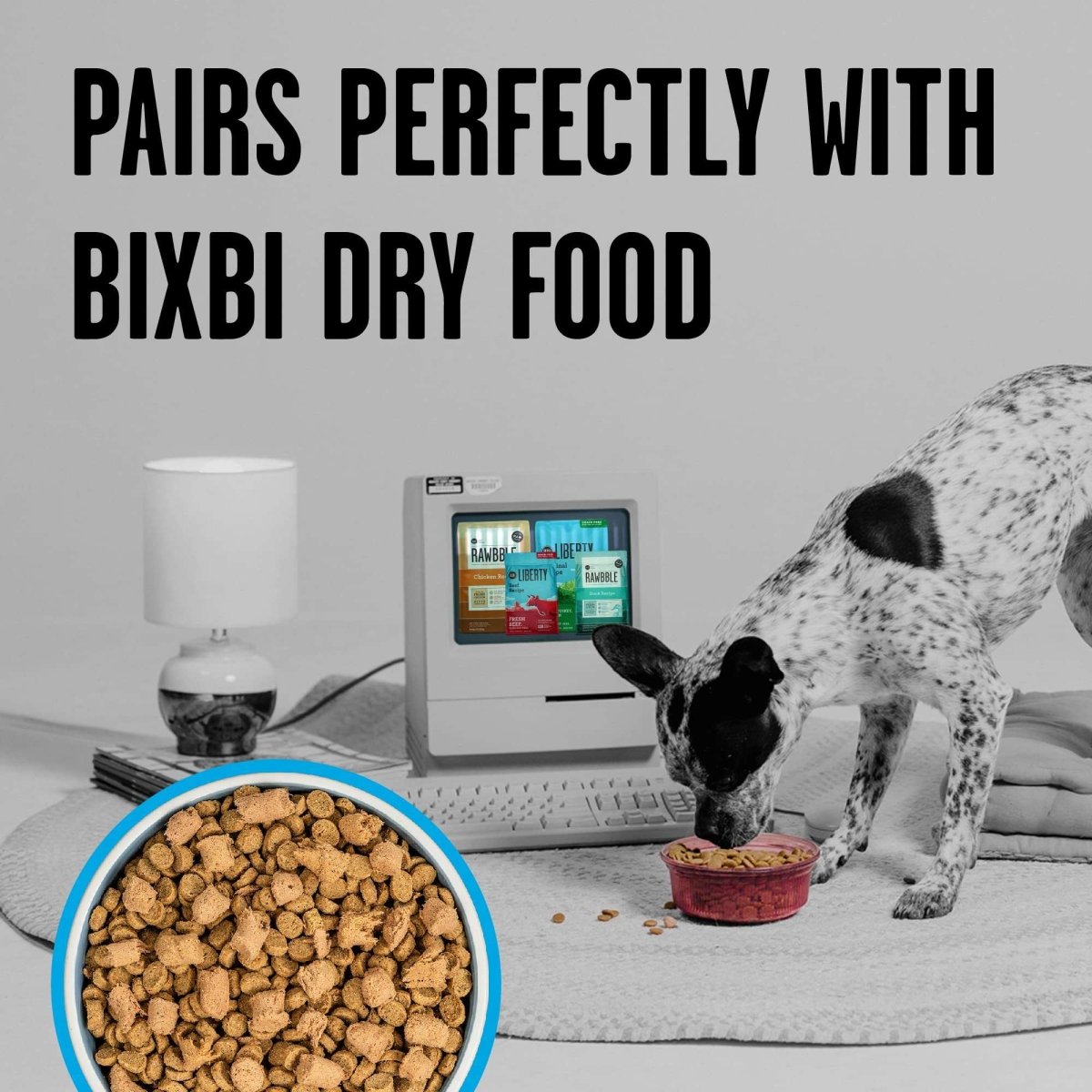 BIXBI Rawbble Freeze Dried Dog Food, Chicken & Salmon Recipe, 26 oz - 94% Meat and Organs - 091037509468