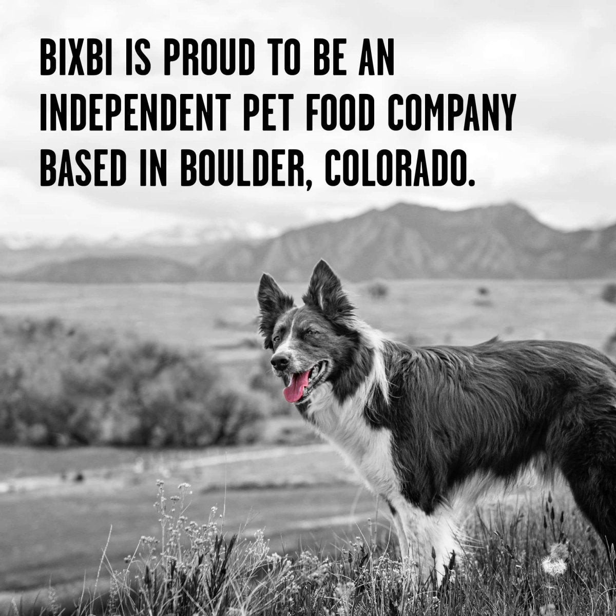 BIXBI Rawbble Freeze Dried Dog Food, Chicken & Salmon Recipe, 26 oz - 94% Meat and Organs - 091037509468