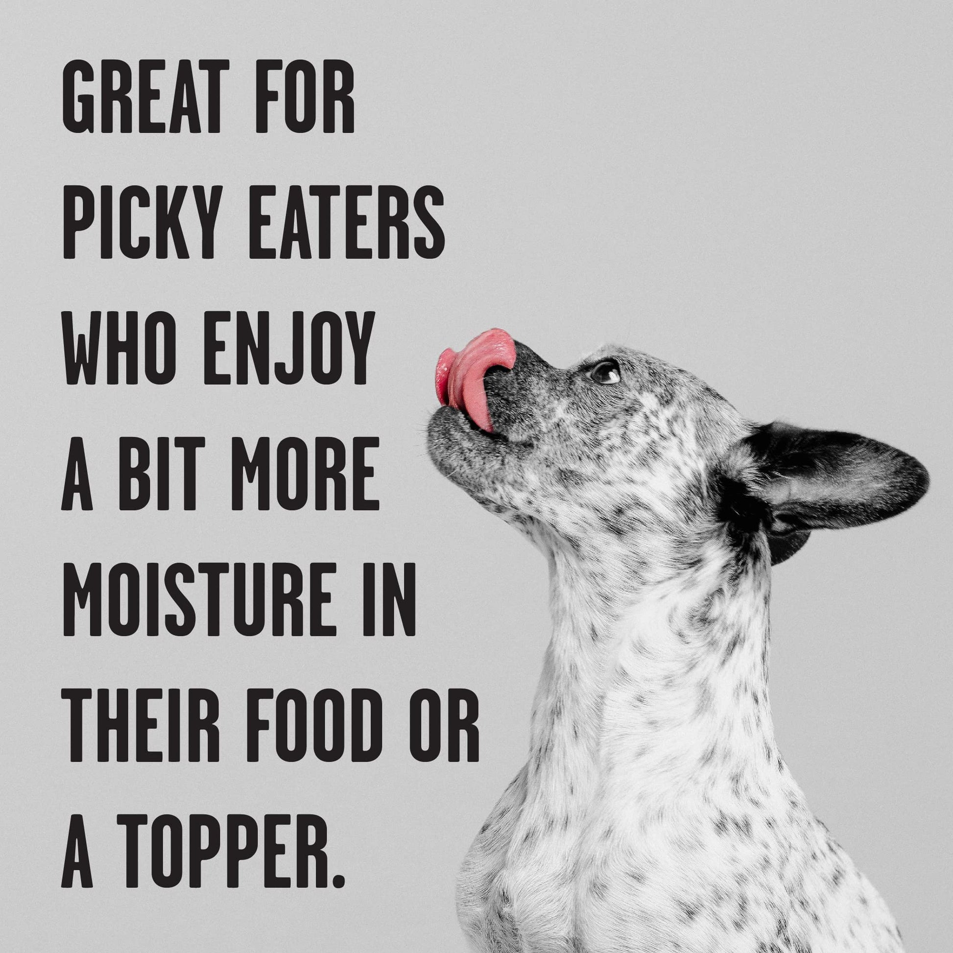 BIXBI Rawbble Grain - Free Canned Wet Dog Food, Lamb Recipe, 12.5 oz. Cans (Pack of 12)