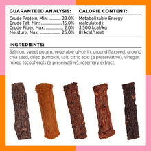 Bixbi skin & Coat salmon jerky treats 10oz dog jerky