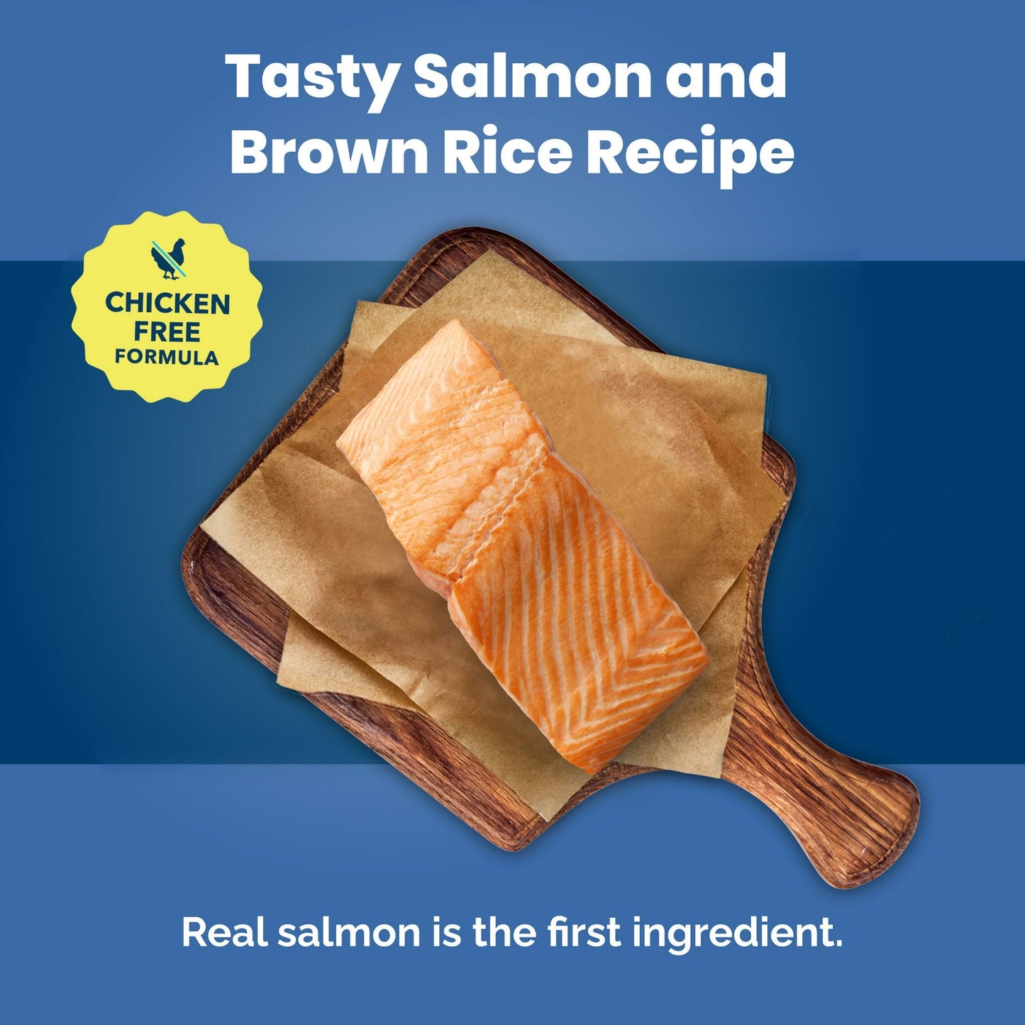 Blue buffalo adult salmon and brown rice recipe 5lbs