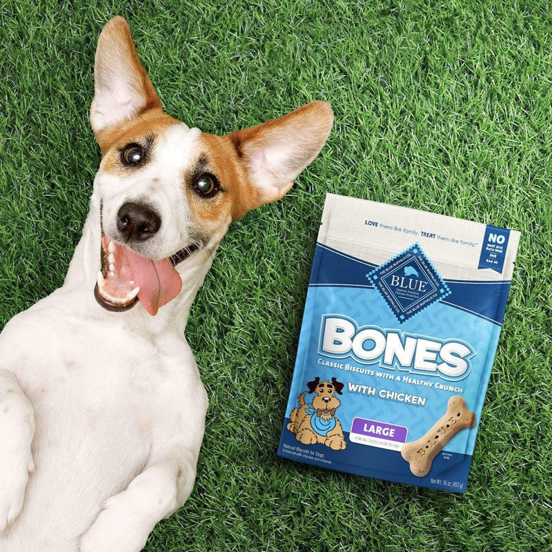 Blue Buffalo Bones Natural Crunchy Dog Treats, Large Dog Biscuits, Chicken 16 - oz bag - 840243141876