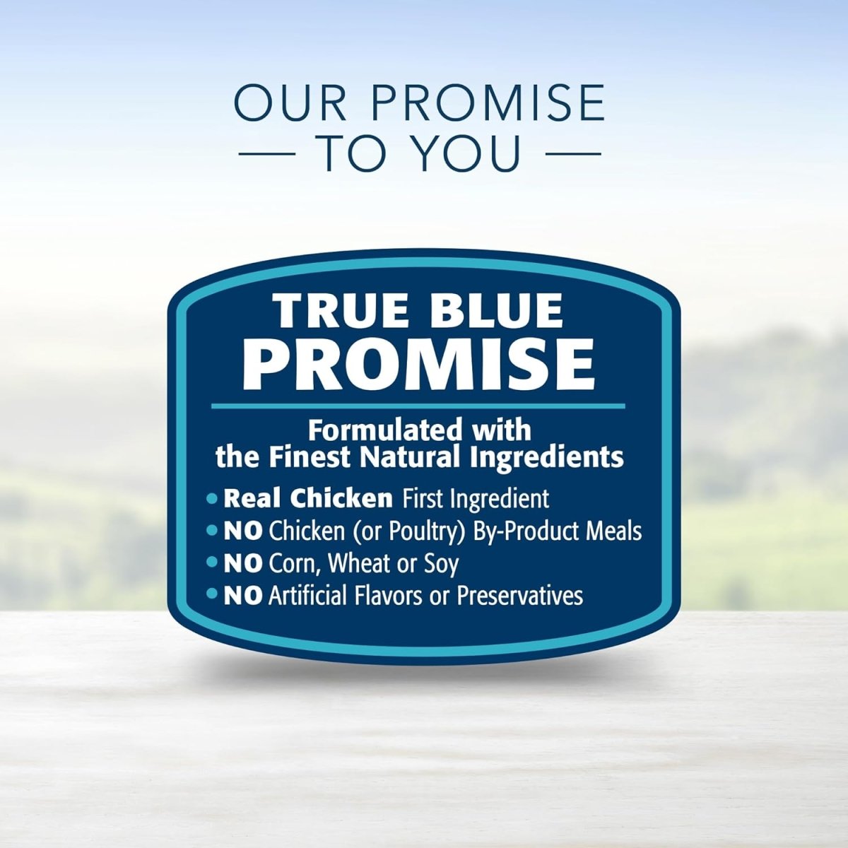 Blue Buffalo Life Protection Formula Natural Adult Dry Dog Food, Chicken and Brown Rice 5lb - dry dog food - 840243144075