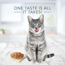 Blue Buffalo Tastefuls Natural Flaked Wet Cat Food, Fish & Shrimp Entrée in Gravy 5.5 - oz cans - canned cat food - 840243140671