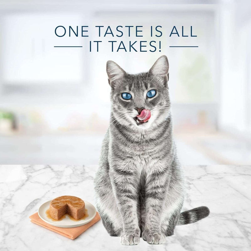 Blue Buffalo Tastefuls Natural Pate Wet Cat Food, Ocean Fish & Tuna Entrée 5.5oz can - canned cat food - 840243140589