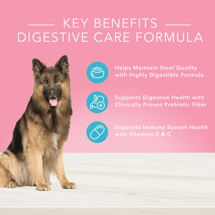 Blue Buffalo True Solutions Blissful Belly Digestive Care Adult Wet Dog Food - 12.5 oz