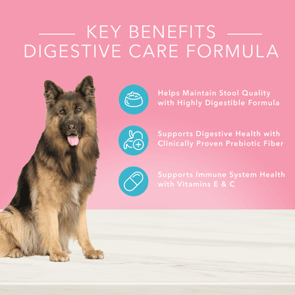 Blue Buffalo True Solutions Blissful Belly Digestive Care Adult Wet Dog Food - 12.5 oz