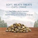 Blue Buffalo Wilderness Grain Free Soft - Moist Cat Treats, Chicken & Turkey 2 - oz Bag - chewy cat treats - 859610007905