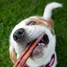 Cadet Bully hide sticks 5 pack 5 inches